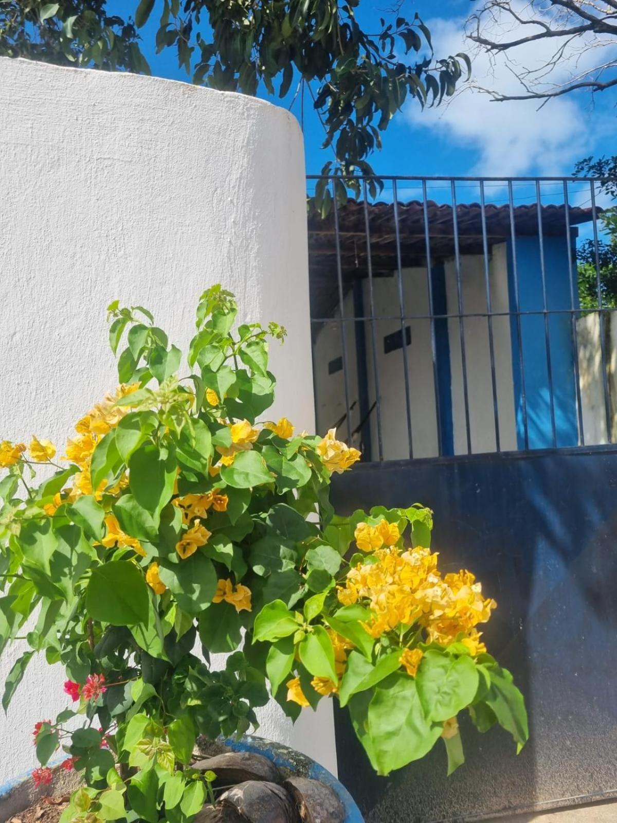 Casa Orange Vila Velha (Pernambuco)